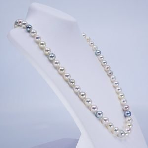 Thalia Akoya Pearl Necklace pearls.jp